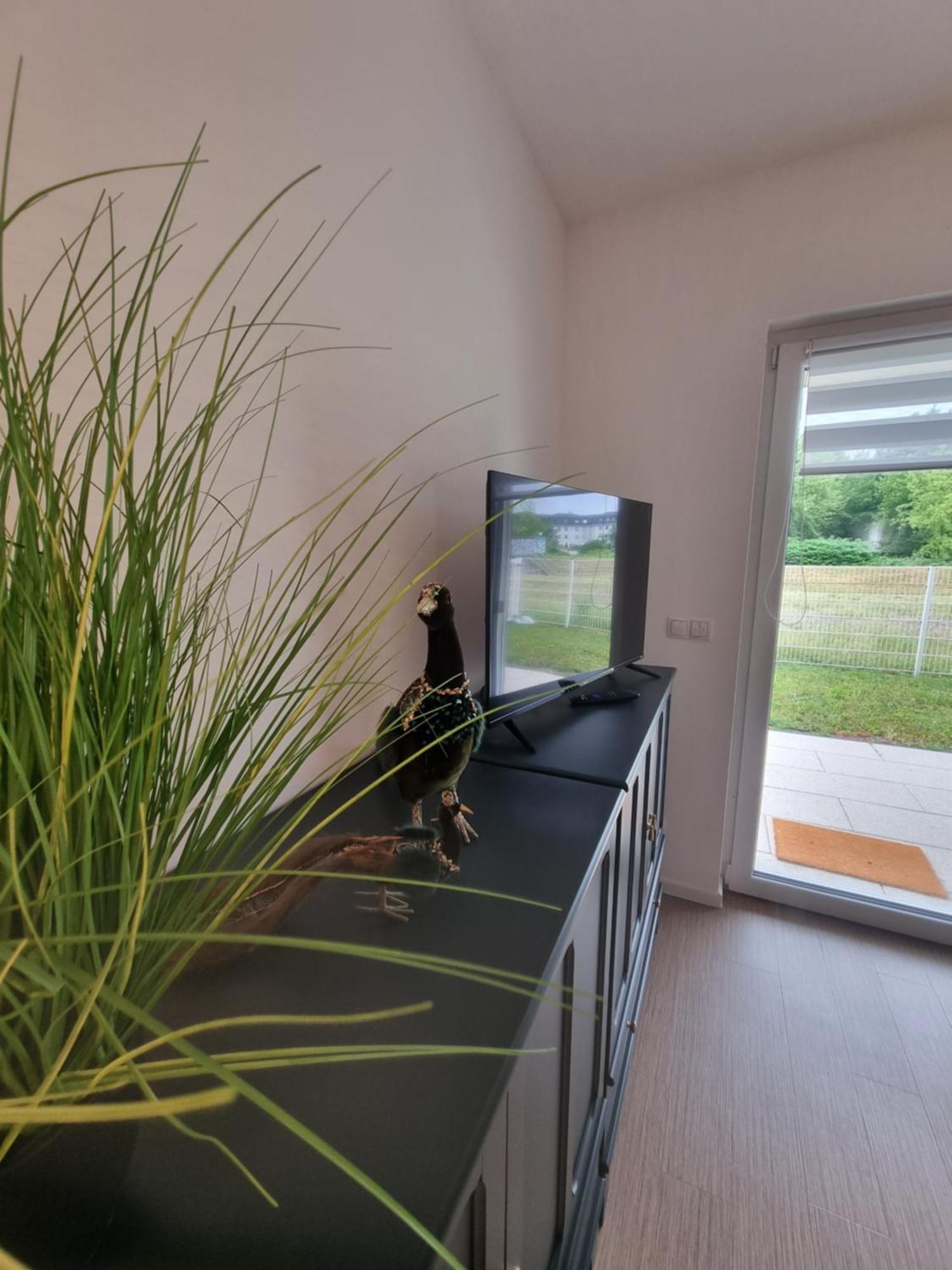 Ferienwohnung Im Palais Am See Am Goitzschesee Bitterfeld-Wolfen Pokój zdjęcie
